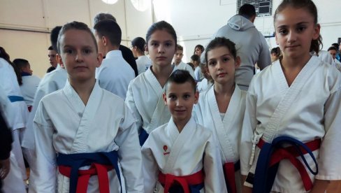 МЕДАЉЕ ЗА МАКСИМА И НИКОЛИНУ: Успех малих параћинских каратиста у Чачку МЕДАЉЕ ЗА МАКСИМА И НИКОЛИНУ: Успех малих параћинских каратиста у Чачку