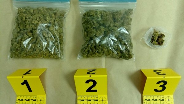 ХАПШЕЊЕ У ПАНЧЕВУ: У кући крили марихуану и метке (ФОТО) ХАПШЕЊЕ У ПАНЧЕВУ: У кући крили марихуану и метке (ФОТО)