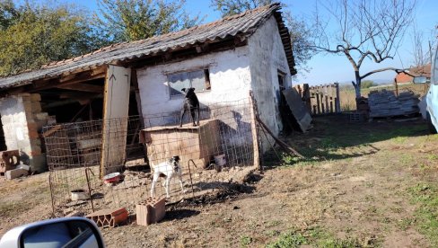 TUGA U LOZNICI POSLE TRAGEDIJE U NOVOM SADU: Svi žale Tinu i Saru - Komšiluk i srodnici obožavali sestre koje su poginule na Železničkoj TUGA U LOZNICI POSLE TRAGEDIJE U NOVOM SADU: Svi žale Tinu i Saru - Komšiluk i srodnici obožavali sestre koje su poginule na Železničkoj