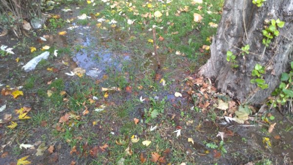 ЦУРЕЊЕ ВОДЕ: Повремено пуцање дотрајалих цеви ЦУРЕЊЕ ВОДЕ: Повремено пуцање дотрајалих цеви