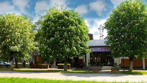 MITROVDANSKI SUSRETI: Tradicionalna manifestacija i ovog novembra u Sečnju MITROVDANSKI SUSRETI: Tradicionalna manifestacija i ovog novembra u Sečnju