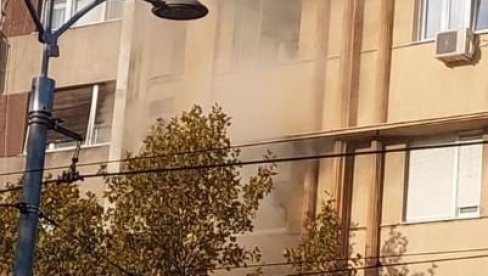 ŽENA STRADALA U POŽARU: Vatra izbila u stanu u centru Beograda (VIDEO) ŽENA STRADALA U POŽARU: Vatra izbila u stanu u centru Beograda (VIDEO)
