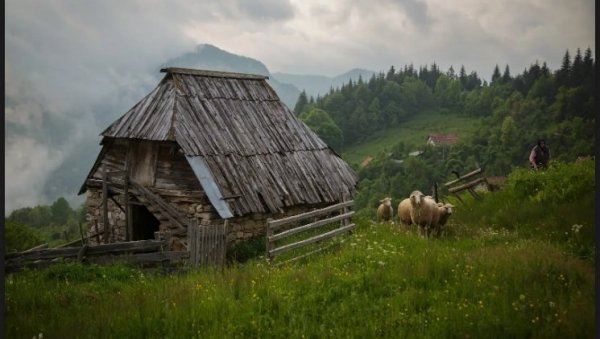 ИЗАБРАНЕ НАЈЛЕПШЕ ФОТОГРАФИЈЕ ТАРЕ: Трагом заборављених чобана ИЗАБРАНЕ НАЈЛЕПШЕ ФОТОГРАФИЈЕ ТАРЕ: Трагом заборављених чобана