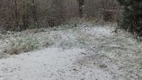ПРВИ СНЕГ ПАО НА ВЛАСИНИ: Забелео се и југ Србије (ФОТО) ПРВИ СНЕГ ПАО НА ВЛАСИНИ: Забелео се и југ Србије (ФОТО)