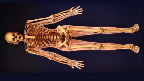 O BOLESTIMA UČE IZ - ARHEOLOGIJE: Kako skelet iz 11. veka, izložen u Gradskom muzeju u Subotici, pomaže u medicini O BOLESTIMA UČE IZ - ARHEOLOGIJE: Kako skelet iz 11. veka, izložen u Gradskom muzeju u Subotici, pomaže u medicini