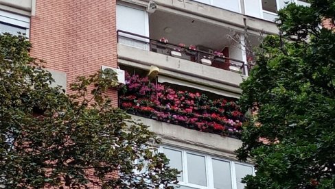 IZBOR U SEDAM KATEGORIJA: Počela akcija Za zeleniji Beograd