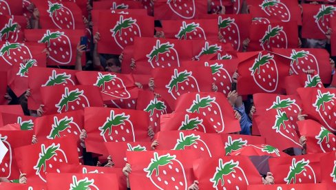 SVE OČI UPRTE U MILAN - ZVEZDA, A DELIJE... Evo gde su se pojavili navijači Zvezde (FOTO) SVE OČI UPRTE U MILAN - ZVEZDA, A DELIJE... Evo gde su se pojavili navijači Zvezde (FOTO)