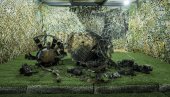 ПРВЕ ФОТОГРАФИЈЕ ОРЕШНИКА: Украјински истражитељи испитују остатке руске ракете (ФОТО) ПРВЕ ФОТОГРАФИЈЕ ОРЕШНИКА: Украјински истражитељи испитују остатке руске ракете (ФОТО)