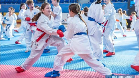 PREKO POLA VEKA KARATEA NA OBALAMA BEGEJA: U Kristalnoj dvorani u Zrenjaninu javni karate trening PREKO POLA VEKA KARATEA NA OBALAMA BEGEJA: U Kristalnoj dvorani u Zrenjaninu javni karate trening