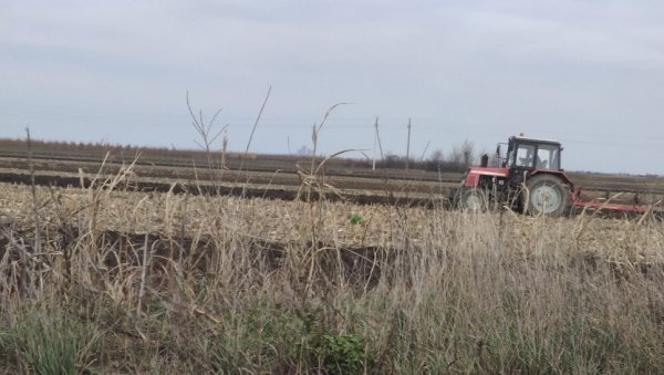РАСПИСУЈУ ОГЛАС: Пољопривредницима у закуп државно земљиште у Сечњу РАСПИСУЈУ ОГЛАС: Пољопривредницима у закуп државно земљиште у Сечњу