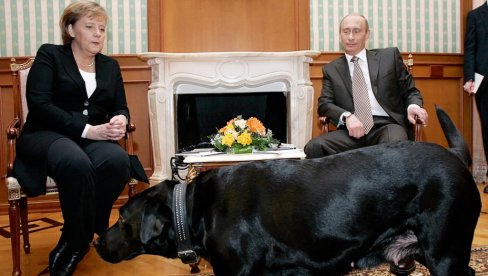 NISAM HTEO DA JE UPLAŠIM“: Putin se ponovo izvinio Merkelovoj zbog incidenta s labradorom Konijem (VIDEO) NISAM HTEO DA JE UPLAŠIM“: Putin se ponovo izvinio Merkelovoj zbog incidenta s labradorom Konijem (VIDEO)