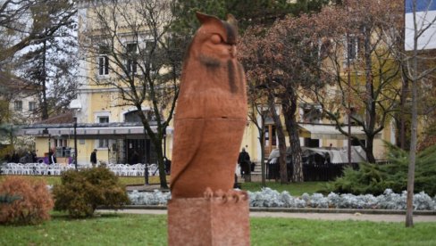 У КИКИНДИ ПОЧЕО СОВЕМБАР: Месец посвећен утинама, јер је овде највеће зимовалиште ових птица