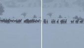 СЕЖНИ СПЕКТАКЛ У ИТАЛИЈИ: Виралан снимак обишао свет - Као из бајке (ФОТО/ВИДЕО) СЕЖНИ СПЕКТАКЛ У ИТАЛИЈИ: Виралан снимак обишао свет - Као из бајке (ФОТО/ВИДЕО)