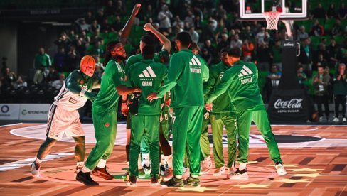 DELIJE SU NA NOGAMA! Zvezda dovodi prvo pojačanje, stiže šampion Evrope?!