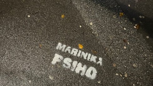 MARINIKA PSIHO: Beogradske ulice išarane grafitima posvećenim Tepićevoj - glas naroda ponovo našao put (FOTO) MARINIKA PSIHO: Beogradske ulice išarane grafitima posvećenim Tepićevoj - glas naroda ponovo našao put (FOTO)