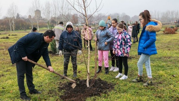 ЗАСАЂЕНО 250 САДНИЦА У ПАРКУ: Акција садње у Руском Селу код Кикинде ЗАСАЂЕНО 250 САДНИЦА У ПАРКУ: Акција садње у Руском Селу код Кикинде