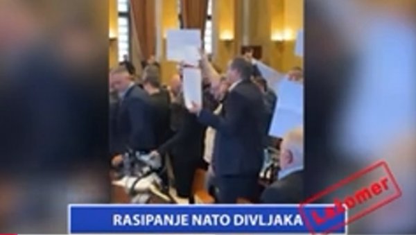 РАСИПАЊЕ НАТО ДИВЉАКА РАСИПАЊЕ НАТО ДИВЉАКА