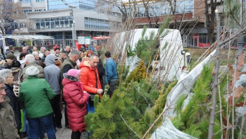 ПОДЕЉЕНО 514 САДНИЦА: Акција Одсека за заштиту животне средине ГУ у Краљеву ПОДЕЉЕНО 514 САДНИЦА: Акција Одсека за заштиту животне средине ГУ у Краљеву