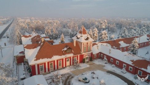HUMANITARNI VAŠAR: Novogodišnja bajkovita priča u dvorcu Kaštel u Ečki HUMANITARNI VAŠAR: Novogodišnja bajkovita priča u dvorcu Kaštel u Ečki
