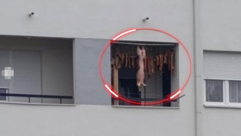 POSVAĐAO LJUDE: Čari gradskog života u Novom Sadu, seoska edicija - suvo meso i prase na terasi (FOTO) POSVAĐAO LJUDE: Čari gradskog života u Novom Sadu, seoska edicija - suvo meso i prase na terasi (FOTO)