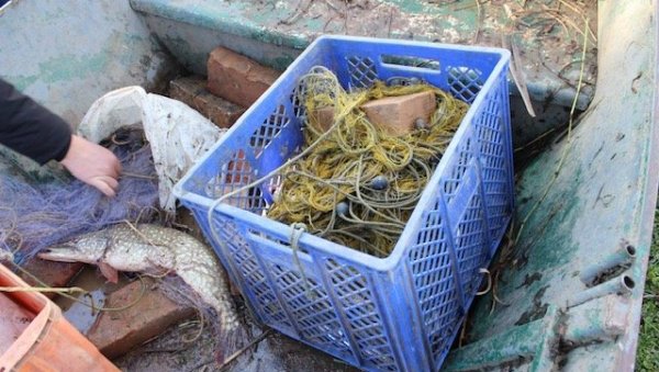 НЕЗАКОНИТ ИЗЛОВ У ВРЕМЕ ПОСТА: Акција полиције на каналу ДТД, заплењена мрежа и ухваћена риба НЕЗАКОНИТ ИЗЛОВ У ВРЕМЕ ПОСТА: Акција полиције на каналу ДТД, заплењена мрежа и ухваћена риба