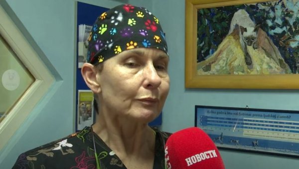 КАКО ЉУБИМЦИМА ОЛАКШАТИ ДОЧЕК НОВЕ ГОДИНЕ? Ветеринарка саветује - Помозите својим крзненим пријатељима КАКО ЉУБИМЦИМА ОЛАКШАТИ ДОЧЕК НОВЕ ГОДИНЕ? Ветеринарка саветује - Помозите својим крзненим пријатељима