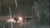 KONJ IZVLAČIO LJUDE IZ SNEŽNE MEĆAVE: Pogledajte kako se sve završilo (VIDEO) KONJ IZVLAČIO LJUDE IZ SNEŽNE MEĆAVE: Pogledajte kako se sve završilo (VIDEO)