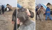 PUTNICI IZLAZE IZ OLUPINE: Dramatičan snimak nakon pada aviona u Kazahstanu (FOTO/VIDEO) PUTNICI IZLAZE IZ OLUPINE: Dramatičan snimak nakon pada aviona u Kazahstanu (FOTO/VIDEO)