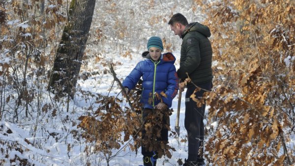 У СУСРЕТ НАЈРАДОСНИЈЕМ ПРАЗНКУ: Бадњи дан се традиционално обележава у краљевачком крају У СУСРЕТ НАЈРАДОСНИЈЕМ ПРАЗНКУ: Бадњи дан се традиционално обележава у краљевачком крају
