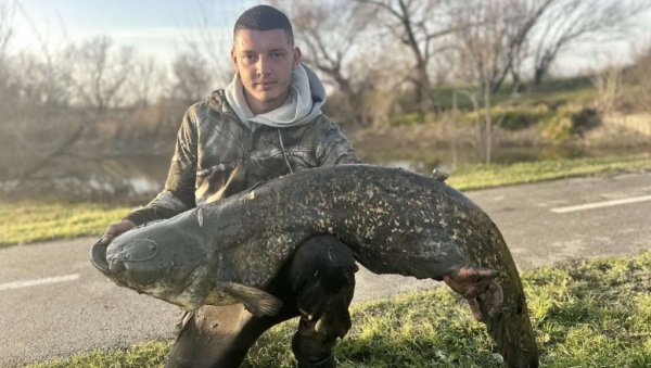 ИЗВУКАО ГРДОСИЈУ ИЗ БЕГЕЈА: Ранко на варалицу упецао сома капиталца од 40 килограма ИЗВУКАО ГРДОСИЈУ ИЗ БЕГЕЈА: Ранко на варалицу упецао сома капиталца од 40 килограма