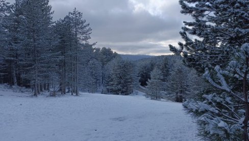 PONOVO ĆE VEJATI U SRBIJI: Ovi dani donose nam sneg