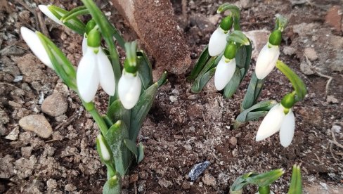 VISIBABE OTOPILE DUŠE PARAĆINACA: Ledeni dan, a toplo oko srca (FOTO) VISIBABE OTOPILE DUŠE PARAĆINACA: Ledeni dan, a toplo oko srca (FOTO)