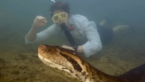 OTKRIO NAJVEĆU ZMIJU SVETA Nova vrsta - stvorenje debelo poput auto gume: Ovo je vrhunac moje karijere (VIDEO) OTKRIO NAJVEĆU ZMIJU SVETA Nova vrsta - stvorenje debelo poput auto gume: Ovo je vrhunac moje karijere (VIDEO)