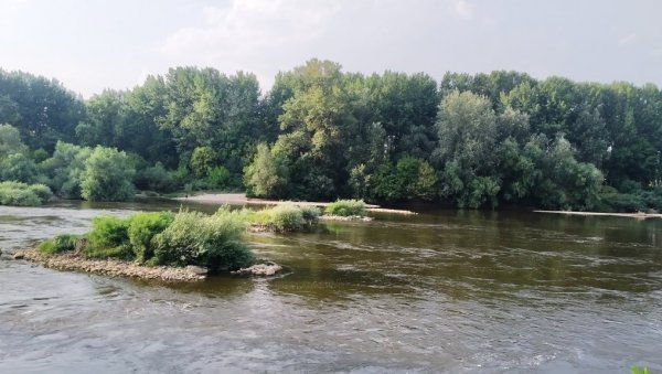 ЗАШТИТА ЕКОСИСТЕМА ВЕЛИКЕ МОРАВЕ: Параћинско удружење грађана Придружи се започело амбициозни пројекат ЗАШТИТА ЕКОСИСТЕМА ВЕЛИКЕ МОРАВЕ: Параћинско удружење грађана Придружи се започело амбициозни пројекат