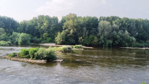 ZAŠTITA EKOSISTEMA VELIKE MORAVE: Paraćinsko udruženje građana Pridruži se započelo ambiciozni projekat ZAŠTITA EKOSISTEMA VELIKE MORAVE: Paraćinsko udruženje građana Pridruži se započelo ambiciozni projekat