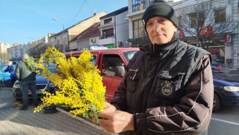 MIMOZAMA RAZGALJUJE DUŠU: Miloje Milojević iz Jagodine već tri i po decenije žiteljima Paraćina ulepšava zimu (FOTO) MIMOZAMA RAZGALJUJE DUŠU: Miloje Milojević iz Jagodine već tri i po decenije žiteljima Paraćina ulepšava zimu (FOTO)