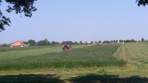 UDRUŽENJIMA 16,7 MILIONA: Petrovačka opština rapisala šest konkursa za projekte UDRUŽENJIMA 16,7 MILIONA: Petrovačka opština rapisala šest konkursa za projekte