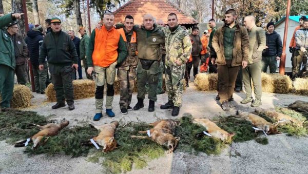 ОДСТРЕЛИЛИ ШЕСТ БАЧКИХ ЛИСИЦА: Хајка на најлукавијег предатора у Врбасу окупила око 300 ловаца из читаве земље ОДСТРЕЛИЛИ ШЕСТ БАЧКИХ ЛИСИЦА: Хајка на најлукавијег предатора у Врбасу окупила око 300 ловаца из читаве земље