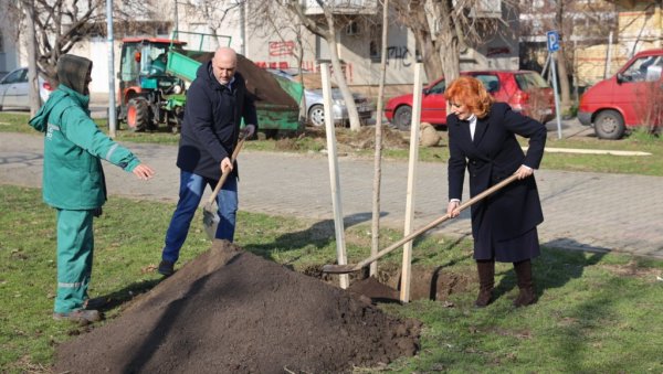 НАСТАВЉЕНО ОЗЕЛЕЊАВАЊЕ НОВОГ САДА: Нових 88 стабала дрвећа за више зеленила НАСТАВЉЕНО ОЗЕЛЕЊАВАЊЕ НОВОГ САДА: Нових 88 стабала дрвећа за више зеленила