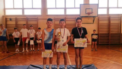 ПАРАЋИН ДОМАЋИН ОКРУЖНОГ ТАКМИЧЕЊА: Најбољи гимнастичари путују у Костолац (ФОТО) ПАРАЋИН ДОМАЋИН ОКРУЖНОГ ТАКМИЧЕЊА: Најбољи гимнастичари путују у Костолац (ФОТО)