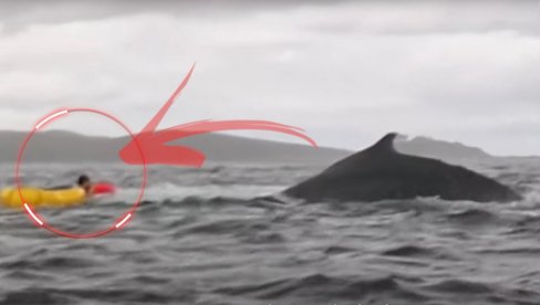 KIT PROGUTAO PA ISPLJUNUO KAJAKAŠA: Otac sve zabeležio kamerom - snimak za nevericu (VIDEO) KIT PROGUTAO PA ISPLJUNUO KAJAKAŠA: Otac sve zabeležio kamerom - snimak za nevericu (VIDEO)