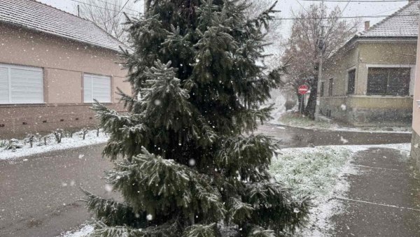 У БАНАТУ ЗАБЕЛЕО: Снег у раним поподневним сатима обрадовао малишане у Зрењанину У БАНАТУ ЗАБЕЛЕО: Снег у раним поподневним сатима обрадовао малишане у Зрењанину