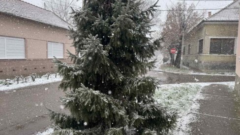 U BANATU ZABELEO: Sneg u ranim popodnevnim satima obradovao mališane u Zrenjaninu U BANATU ZABELEO: Sneg u ranim popodnevnim satima obradovao mališane u Zrenjaninu