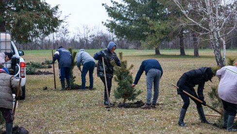 U BAŠAIDU ĆE BITI ZASAĐENO 200 SADNICA: Planirano ozelenjavanje sela na više lokacija (FOTO) U BAŠAIDU ĆE BITI ZASAĐENO 200 SADNICA: Planirano ozelenjavanje sela na više lokacija (FOTO)