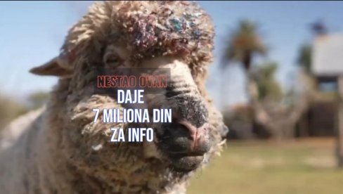 DRAMA ZBOG JEDNOG - OVNA: Država na nogama, nudi 7 miliona dinara za info o nestalom umetniku (VIDEO) DRAMA ZBOG JEDNOG - OVNA: Država na nogama, nudi 7 miliona dinara za info o nestalom umetniku (VIDEO)