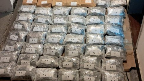 ZAPLENJENO 53 KILOGRANA MARIHUANE, IZVRŠENI PRETRESI: Policijska akcija u okolini Plava, u blizini granice sa Albanijom ZAPLENJENO 53 KILOGRANA MARIHUANE, IZVRŠENI PRETRESI: Policijska akcija u okolini Plava, u blizini granice sa Albanijom