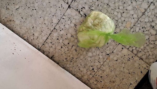 НЕ ЧИСТЕ ЗА СВОЈИМ ПСИМА: Власници кућних љубимаца често не брину о хигијени стамбених заједница НЕ ЧИСТЕ ЗА СВОЈИМ ПСИМА: Власници кућних љубимаца често не брину о хигијени стамбених заједница
