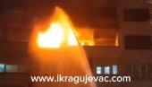 POŽAR U STANU U CENTRU KRAGUJEVCA: Vatrogasne ekipe hitno izašle na teren, poznato da li ima žrtava (VIDEO)