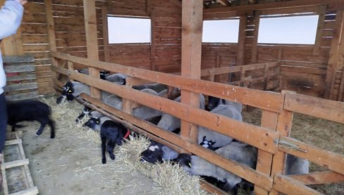 POMOĆ U OBNOVI REGISTRACIJE POLJOPRIVREDNIH GAZDINSTAVA: PSSS Jagodina sutra u Davidovcu POMOĆ U OBNOVI REGISTRACIJE POLJOPRIVREDNIH GAZDINSTAVA: PSSS Jagodina sutra u Davidovcu