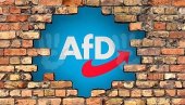 AfD-U NAJVEĆA PODRŠKA: Objavljeni rezultati poslednje ankete javnog mnjenja u Nemačkoj